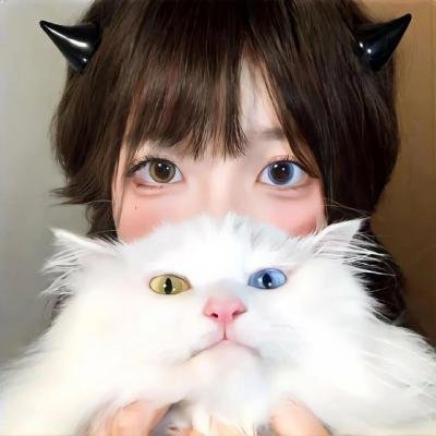 Chicken Rice War 鸡缘巧合